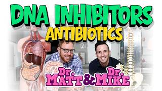 DNA Inhibitors (Antibiotics) | Podcast