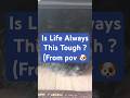 Is Life Always This Tough!?😫 #dog #dogshorts #dogofinstagram #funnydogs #cutedog #shorts #viral