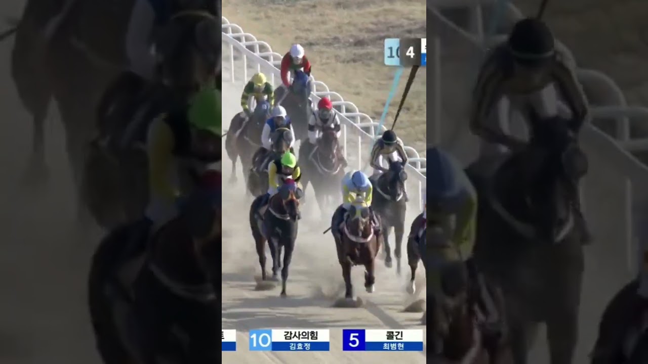 9번 버티네복연살것26배