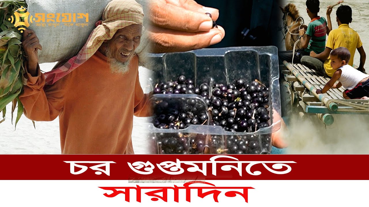 🌊 চরবাসীর দুঃসাহসিক জীবন! অবিশ্বাস্য সংগ্রামের গল্প 😲💪