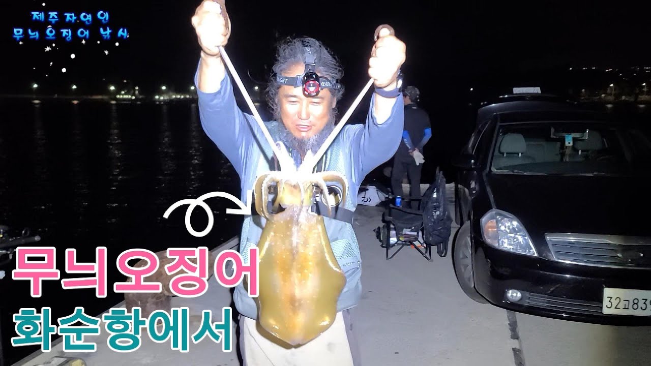 무늬오징어 낚시 화순항에서