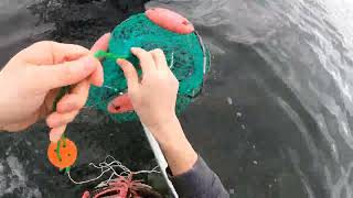 CATCHING FLOUNDER WITH FISH NET