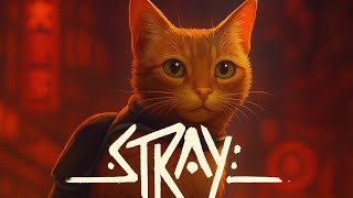 STRAY: #5 En las búsqueda de un familiar perdido