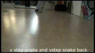c walk vstep snake and vstep snake back