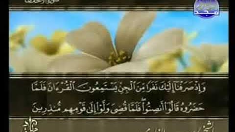 سورة الأحقاف من الآية 29 الى الآية  35