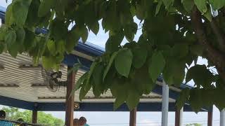 Wall fans at JayDee’s Fun Center