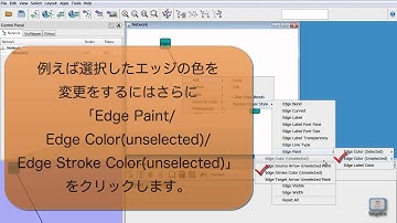 Cytoscapeを使い倒す ～インストール・基本操作編～