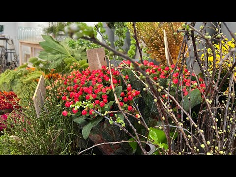 Video: De beste bloemen voor schoonheidsbehandelingen