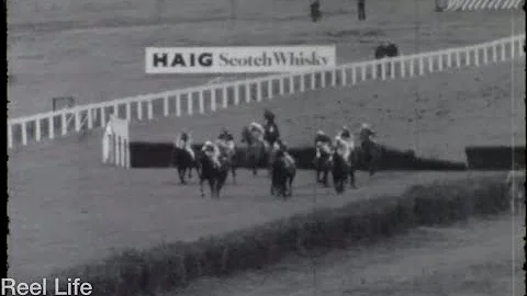 1977, Sandown Park horse race track, Race #3, 8 Ja...