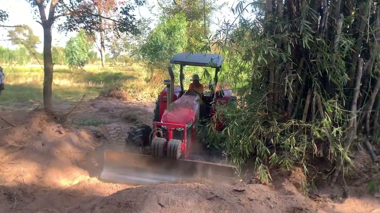 แมสซีย์เฟอร์กูสัน4708 85แรงม้า งัดกอไผ่ยักษ์ จะคุ้มไหมงานนี้!!!