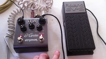 Strymon elCapistan - Mod wanted.