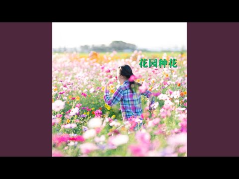 花园种花