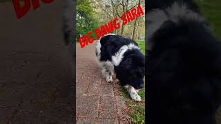 Big dawg Sara today