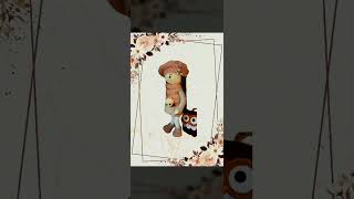 She Is My F I R S T My 53Cm Ginormous D O L L