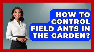How To Control Field Ants In The Garden? - Insects and Invaders