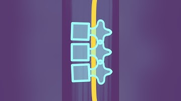 Analysis of Spinal Waves by Ido Portal @portaldo