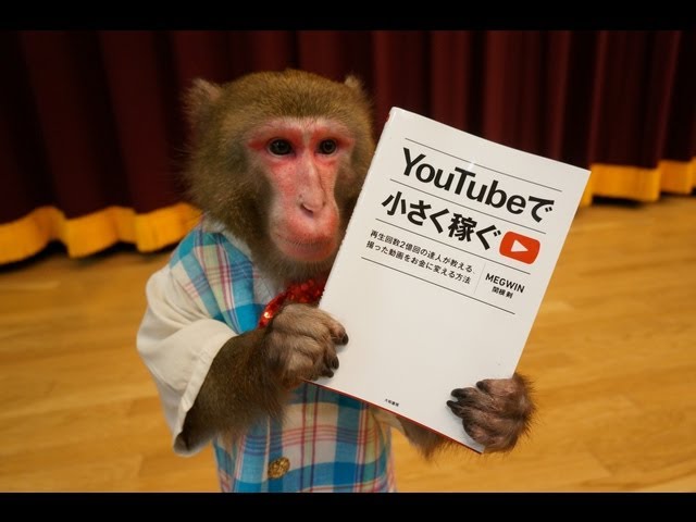 おサルとわんこがYouTube攻略本をお手本に、超面白い動画に挑戦！（#24
