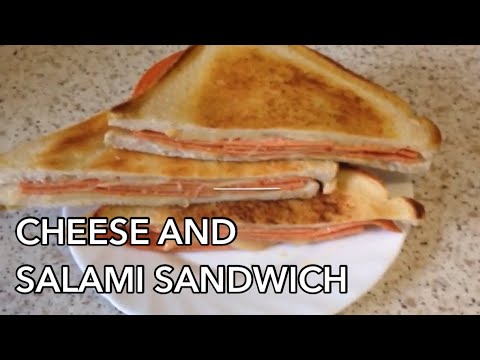 TASTY CHEESE SALAMI