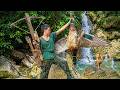 Tracking Wild Boar & Hunting Ducks in the Green Forest Wilderness