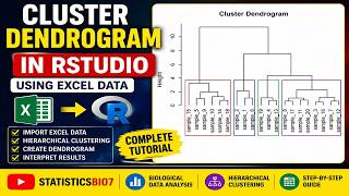 Cluster Analysis in R | Hierarchical Clustering with Excel Dataset