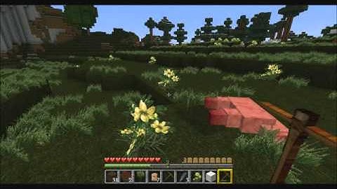 LPT MinecraftTeil 1 pascal