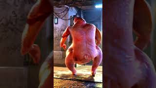 Warren T Wurkey #dance #Thanksgiving #turkey
Warren T Wurkey #dance #Thanksgiving #turkey Warren T Wurkey #dance #Thanksgiving #turkey