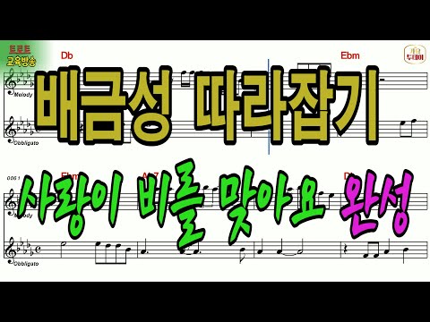 가수 배금성 사랑이비를맞아요 따라잡기 작사 곡 이은청 트로트 교육방송 Trot Educational Broadcasting