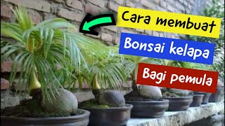 Cara membuat bonsai kelapa calon juara || menggunakan media air