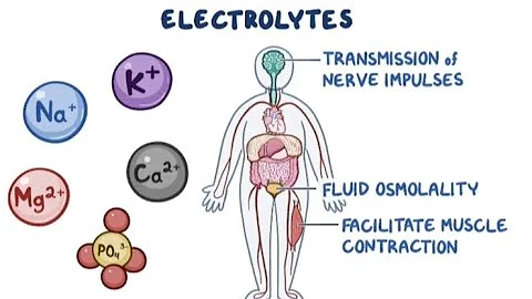 Electrolytes Normal Values and Imbalance (Ca, Mg, K, Na) - Medical - Surgical - Cardiovascular