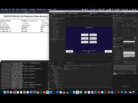 [Debug: FM WebSocket] Connection Test