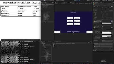 [Debug: FM WebSocket] Connection Test