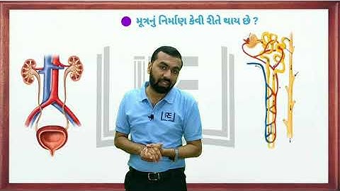 Std 10 / Science and Technology / જૈવિક પ્રક્રિયાઓ / મનુષ્યમાં ઉત્સર્જન