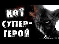 Страшные истории на ночь - КОТ СУПЕРГЕРОЙ - Страшилки на ночь