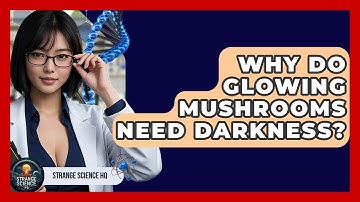 Why Do Glowing Mushrooms Need Darkness? - Strange Science HQ