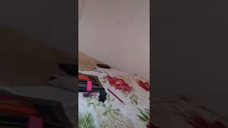 Captain Cuttlefish Voice So Bad Test