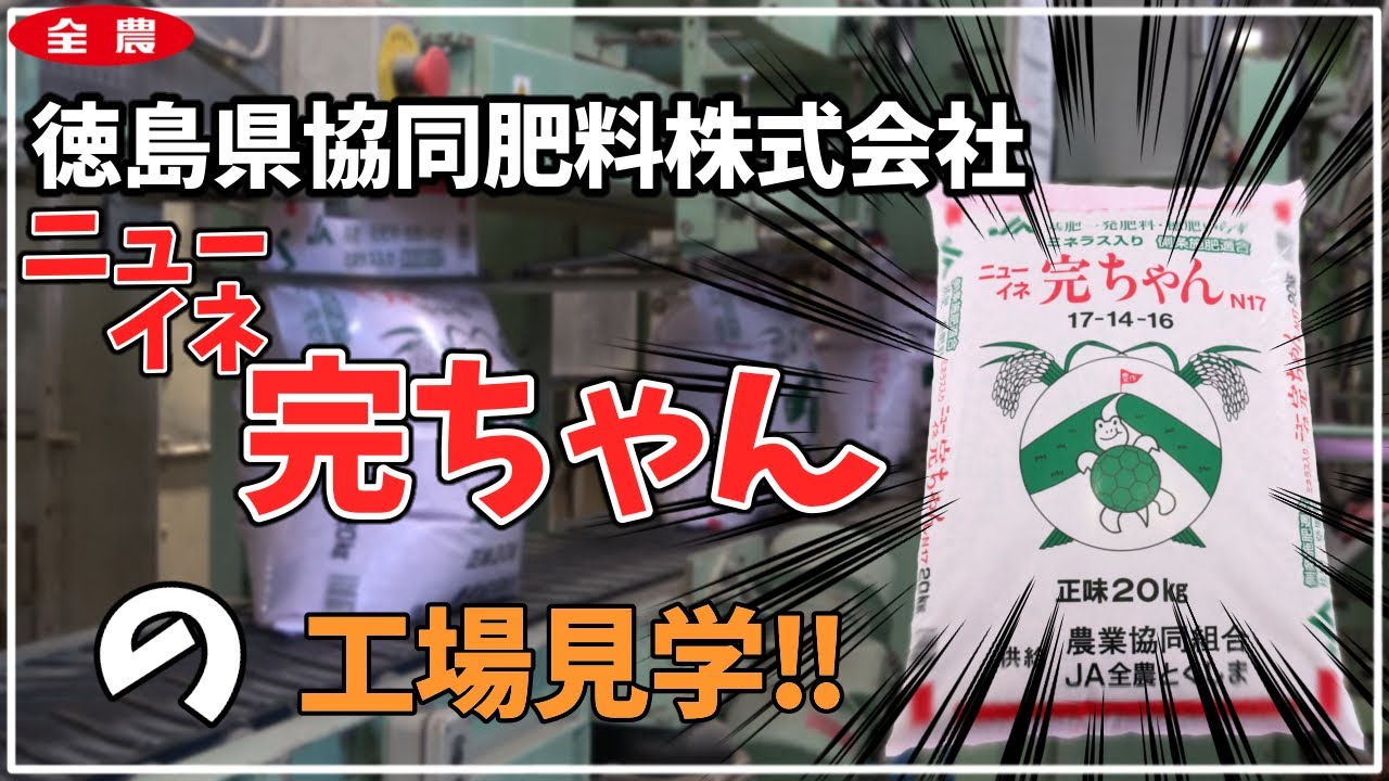 徳島県協同肥料株式会社 ニューイネ完ちゃん が出来るまで Ja全農とくしま Youtube