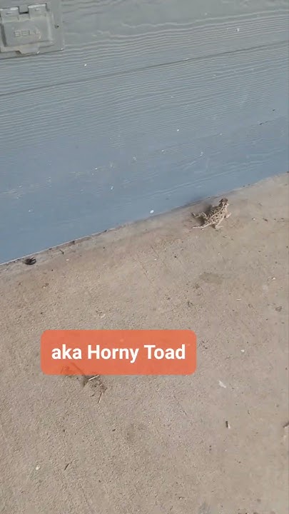 youtube.com