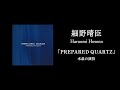 Miniature de la vidéo de la chanson Prepared Quartz