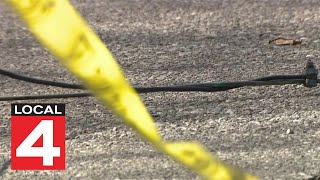 Detroiters frustrated with downed power lines after ice storm Net Worth
