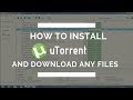 How to install utorrent and download torrent files