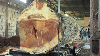 Stunning and full of drama || Sawing giant-sized tamarind wood!! Sawmills