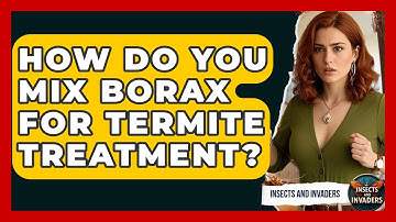 How Do You Mix Borax For Termite Treatment? - Insects and Invaders