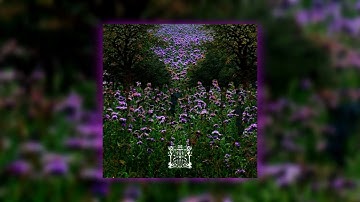 Fumantum - Realmgate (Full Album) (Dark Ambient / Neofolk / Ritual)