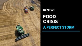 How conflict, Covid-19 and climate change are fuelling a growing global food crisis | ABC News