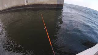 Non-Stop Fishing Action at the Chesapeake Bay Bridge!