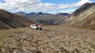 Super cub Bush flying