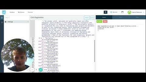 Final Project Codehs