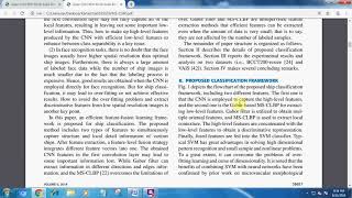 Deep CNN With Multi-Scale Rotation Invariance Features for Ship Classification