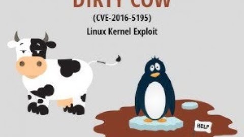 ROOT SERVER WITH DIRTY & BIND SHELL
