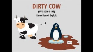 ROOT SERVER WITH DIRTY & BIND SHELL